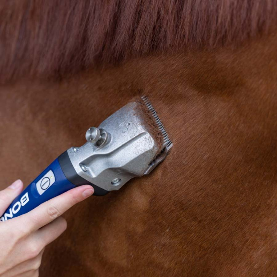 Maszynka do strzyżenia Bonum Pro 1 Battery Niebieska