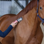 Maszynka do strzyżenia Bonum Pro 2 Batteries Różowa Maszynka do strzyżenia Bonum Pro 2 Batteries Różowa