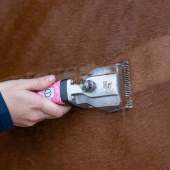 Maszynka do strzyżenia Bonum Pro 2 Batteries Różowa Maszynka do strzyżenia Bonum Pro 2 Batteries Różowa