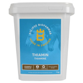 Tiamina 1kg Tiamina 1kg