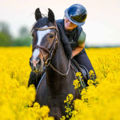 Kask Kooki Lady Shine Granatowy Kask Kooki Lady Shine Granatowy