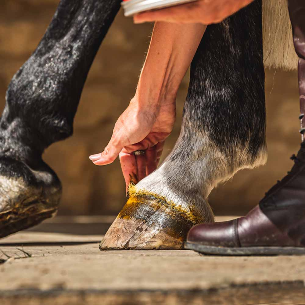 Maść do kopyt Cornucrescine Original 500ml