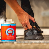 Olej do kopyt Cornucrescine Dressing 500ml Olej do kopyt Cornucrescine Dressing 500ml