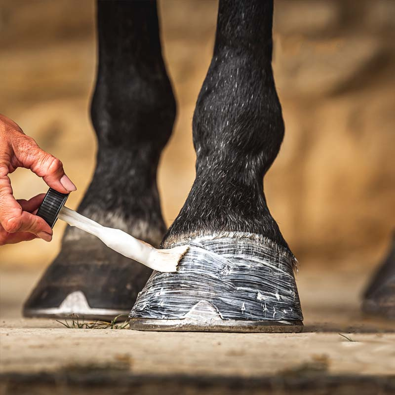 Krem nawilżający do kopyt Cornucrescine 500ml