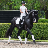 Czaprak ujeżdżeniowy Suede Square Czarny Czaprak ujeżdżeniowy Suede Square Czarny