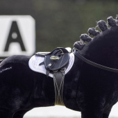 Siodło Toy Pony Czarne Siodło Toy Pony Czarne