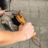 Kopystka Artisan Brązowa Kopystka Artisan Brązowa