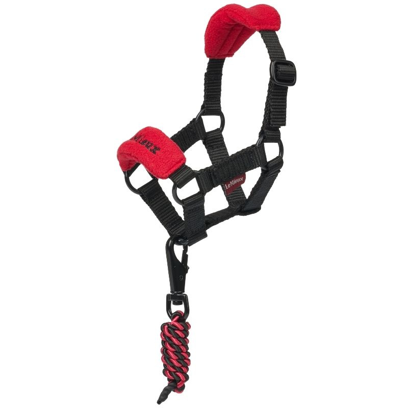 Kantar Toy Pony Vogue Czerwony