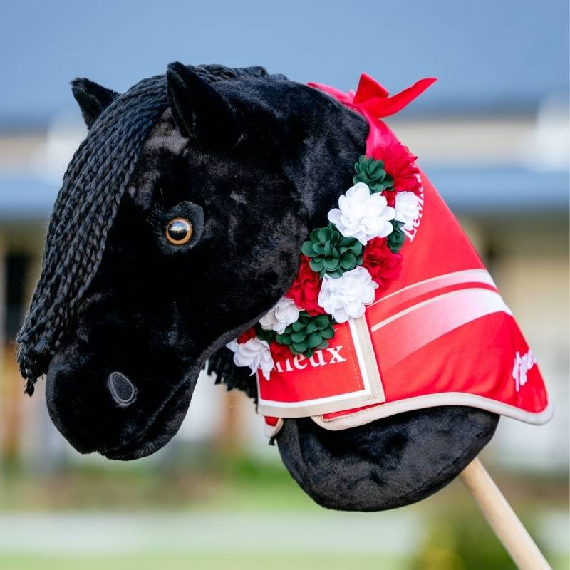 Derka konkursowa dla Hobby Horse Winners Czerwona