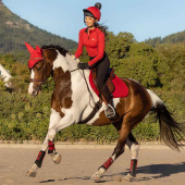 Czaprak Suede Square Czerwony Czaprak Suede Square Czerwony