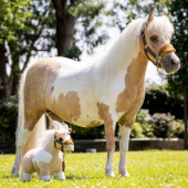 Koń zabawkowy Toy Pony Lemon Koń zabawkowy Toy Pony Lemon