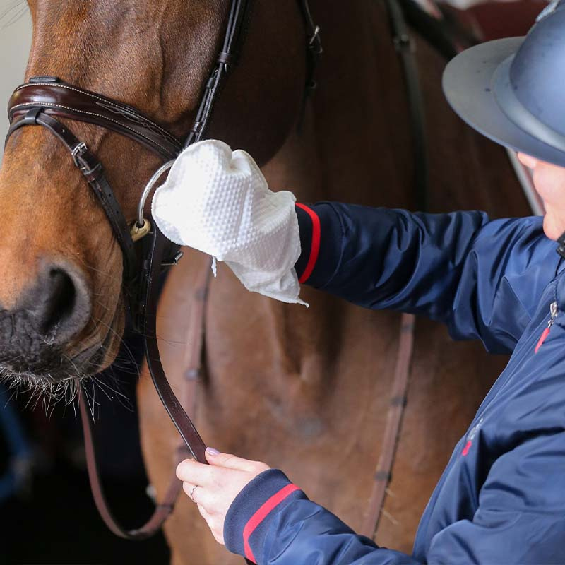 Środek do czyszczenia skóry Belvoir Rękawice 10 szt.