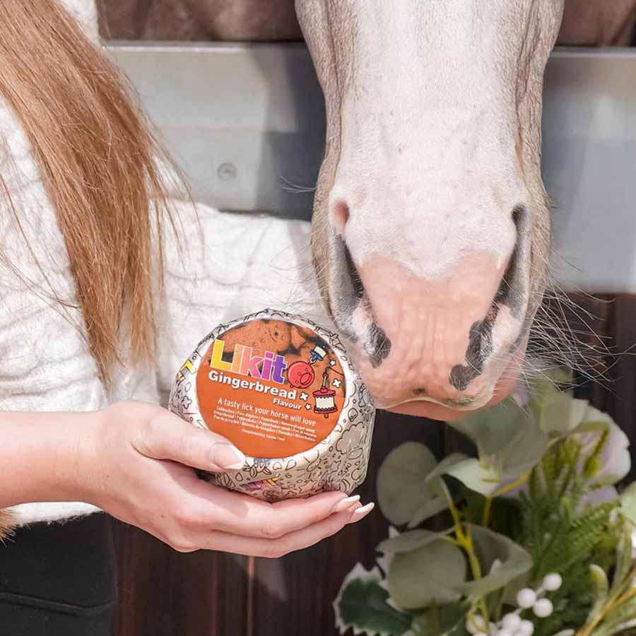 Lizawka Gingerbread Refill 650g