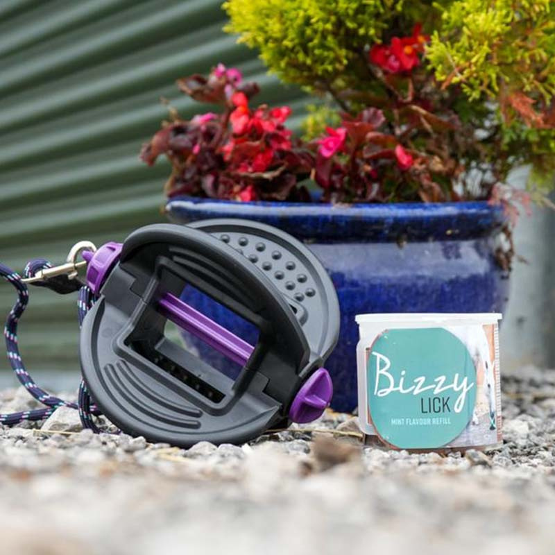 Lizawka Bizzy Lick Mint Refill 1kg