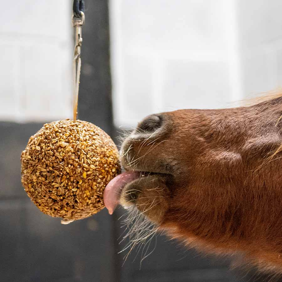 Piłka zbożowa Granola Peppermint 1,6kg