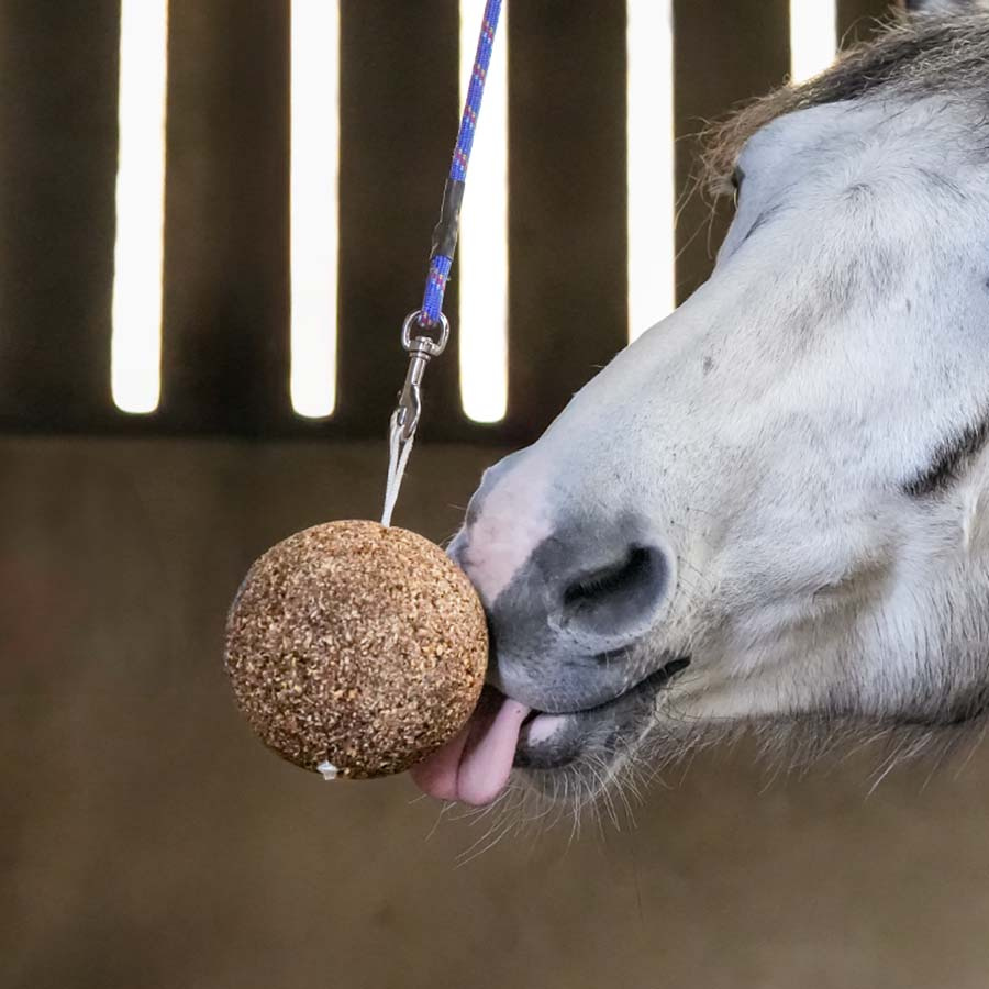 Piłka zbożowa Granola Apple 1,5kg