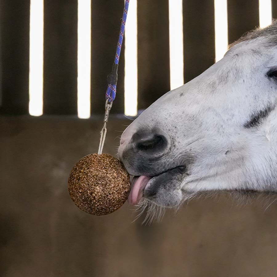 Piłka zbożowa Granola Apple 1,5kg