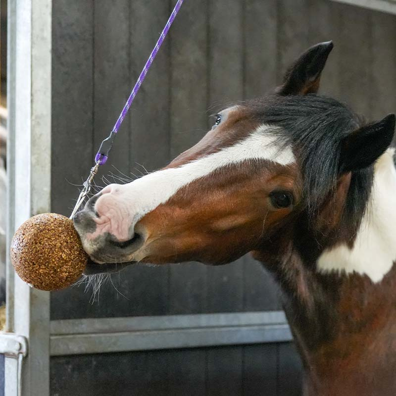 Piłka zbożowa Granola Apple 1,5kg