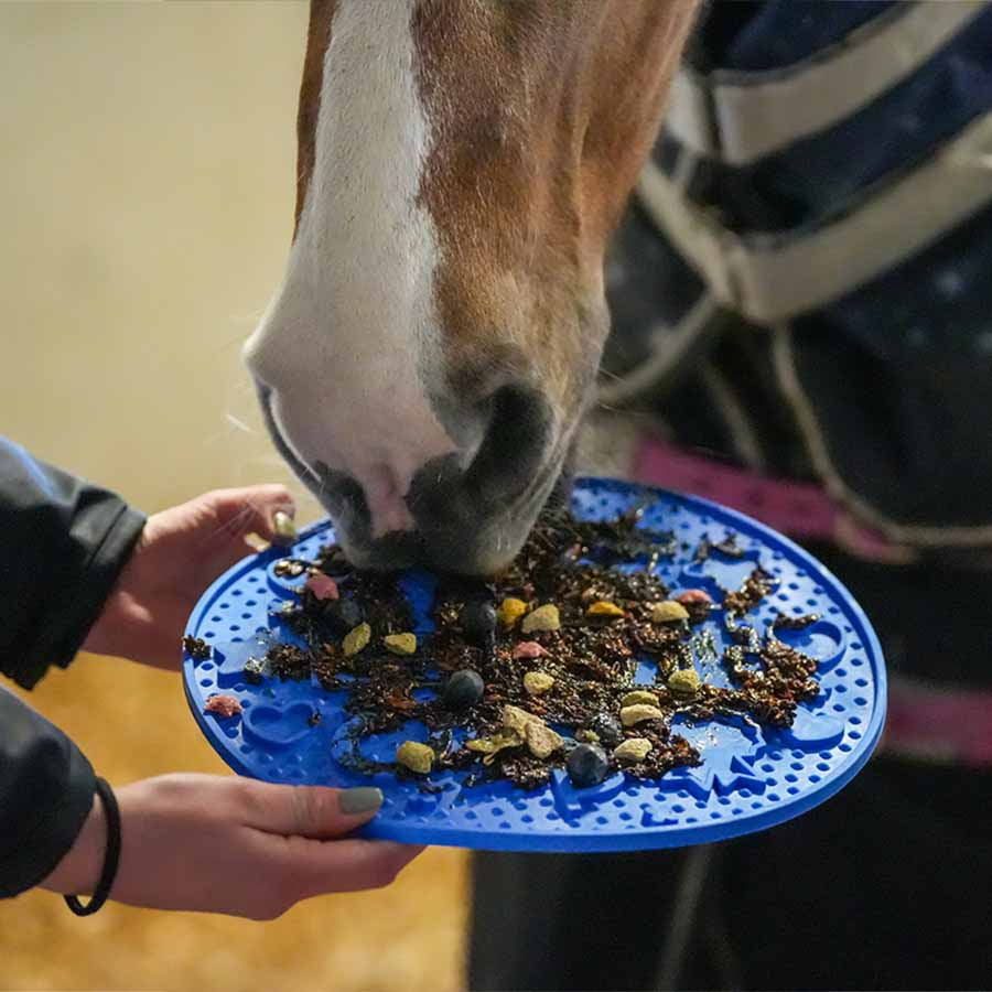 Mata do lizania Graze Maze Mata Lick Poziom 1 Niebieska