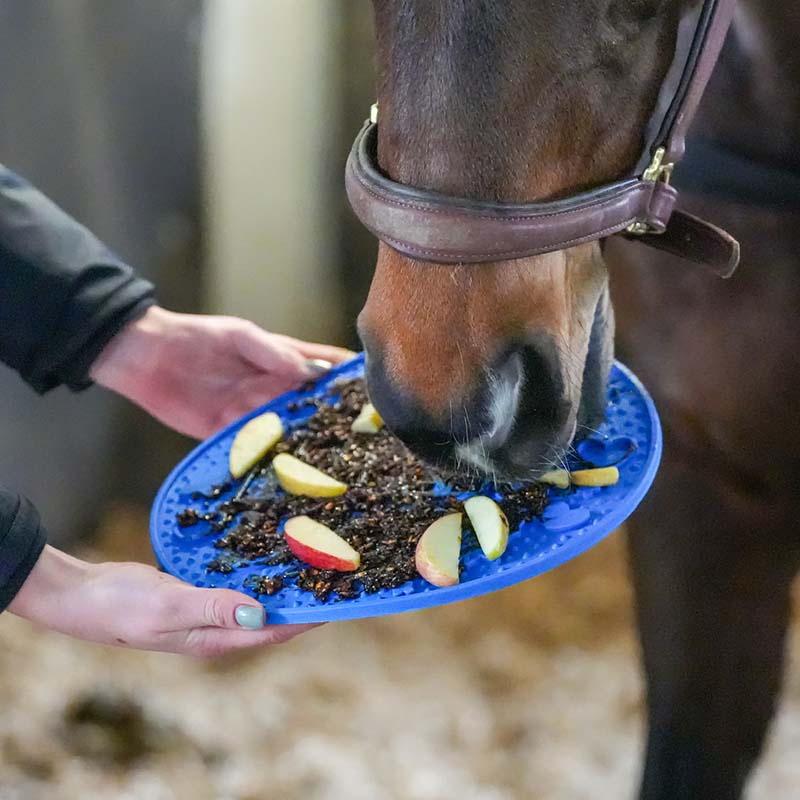 Mata do lizania Graze Maze Mata Lick Poziom 1 Niebieska