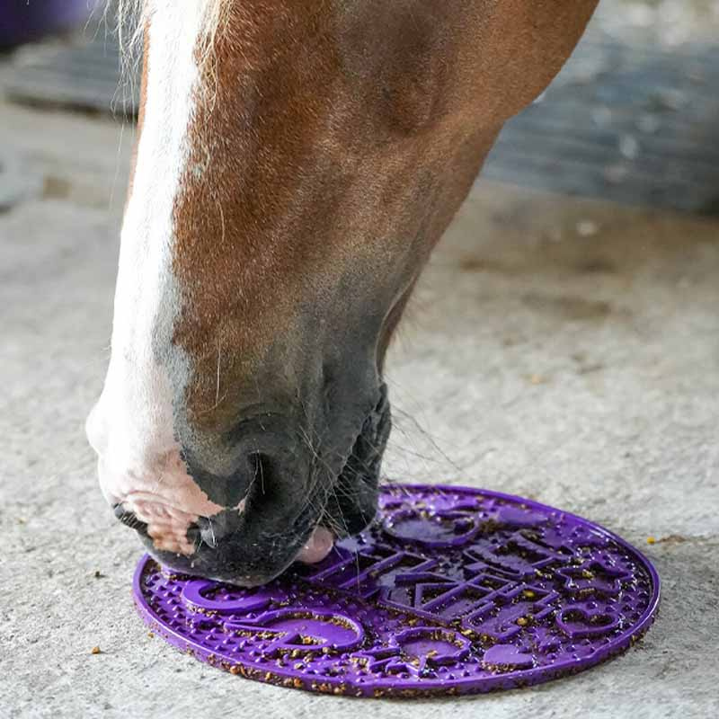 Mata do lizania Graze Maze Mata Lick Poziom 1 Fioletowa