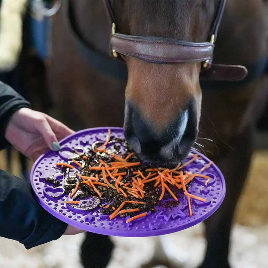 Mata do lizania Graze Maze Mata Lick Poziom 1 Fioletowa