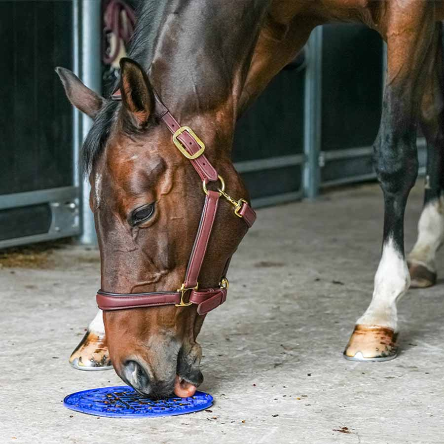 Przysmak Graze Paste Original 1,2kg