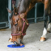 Przysmak Graze Paste Original 1,2kg Przysmak Graze Paste Original 1,2kg