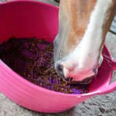 Przysmak Graze Paste Original 1,2kg Przysmak Graze Paste Original 1,2kg