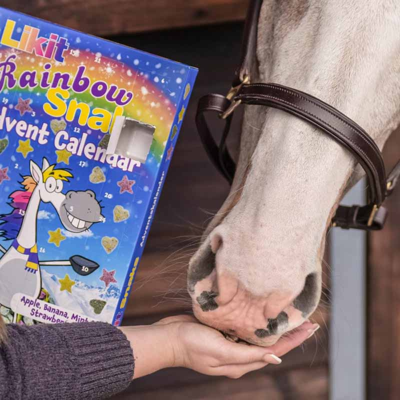 Kalendarz adwentowy Przysmaki dla koni Rainbow Snaks 200g