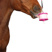 Uchwyt Poziom 1 Różowy/Brokat Uchwyt Poziom 1 Różowy/Brokat