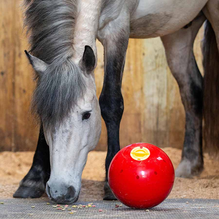 Piłka na przysmaki Snak-a-Ball Poziom 2 Czerwona