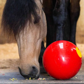 Piłka na przysmaki Snak-a-Ball Poziom 2 Czerwona Piłka na przysmaki Snak-a-Ball Poziom 2 Czerwona