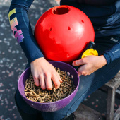 Piłka na przysmaki Snak-a-Ball Poziom 2 Czerwona Piłka na przysmaki Snak-a-Ball Poziom 2 Czerwona