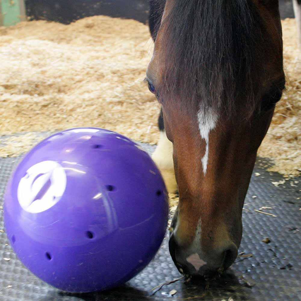Piłka na przysmaki Snak-a-Ball Poziom 2 Fioletowa