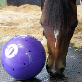 Piłka na przysmaki Snak-a-Ball Poziom 2 Fioletowa Piłka na przysmaki Snak-a-Ball Poziom 2 Fioletowa