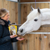 Przysmaki dla koni Stud Muffins 3 szt Przysmaki dla koni Stud Muffins 3 szt