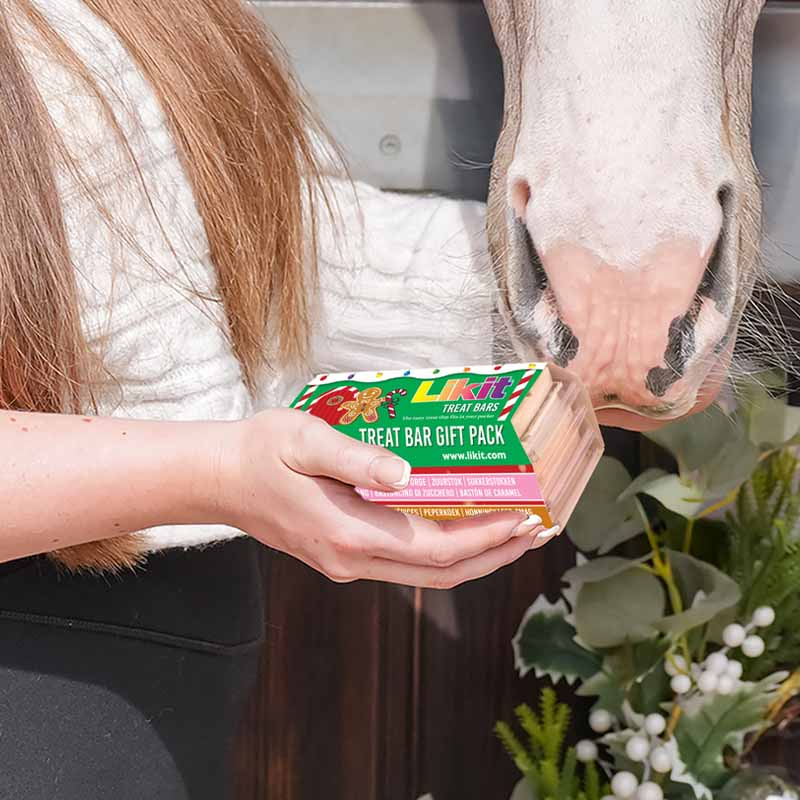 Przysmaki dla koni Treat Bars Gift Pack 4-pack 360g