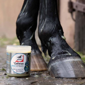 Żel chłodzący Cellius 600ml Żel chłodzący Cellius 600ml