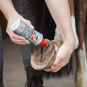 Preparat do pielęgnacji strzałki kopyta Strahl San Frog Ade z pędzelkiem 200ml Preparat do pielęgnacji strzałki kopyta Strahl San Frog Ade z pędzelkiem 200ml