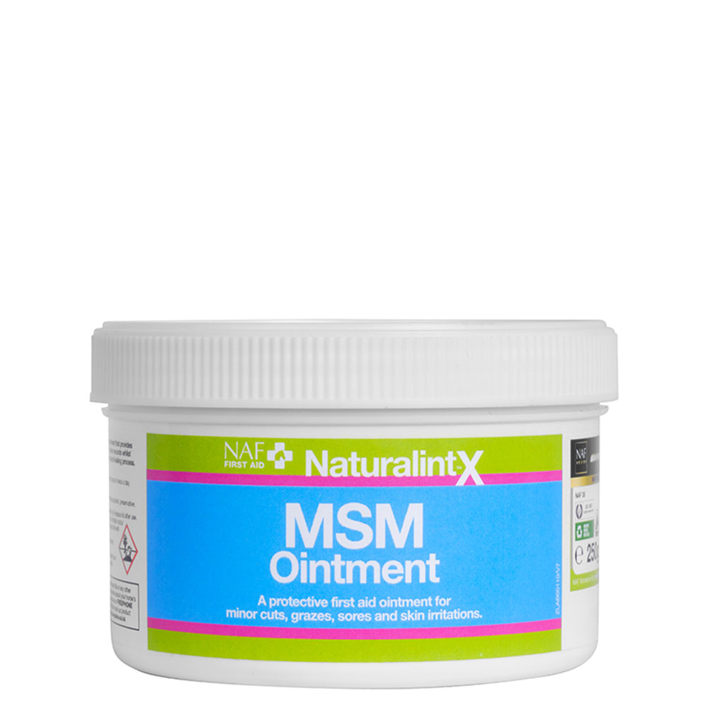NaturalintX MSM Maść 250g