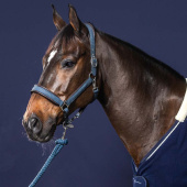 Kantar Nubuck NEC Granatowy Kantar Nubuck NEC Granatowy