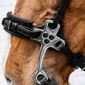 Hackamore New English Collection Czarne Hackamore New English Collection Czarne