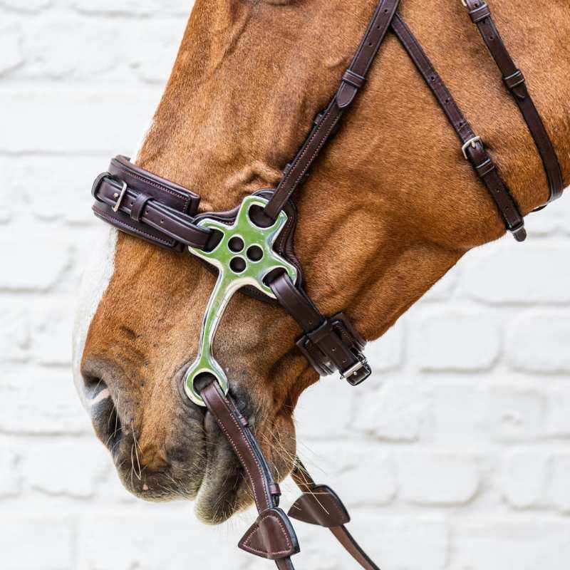 Hackamore New English Collection Brązowe
