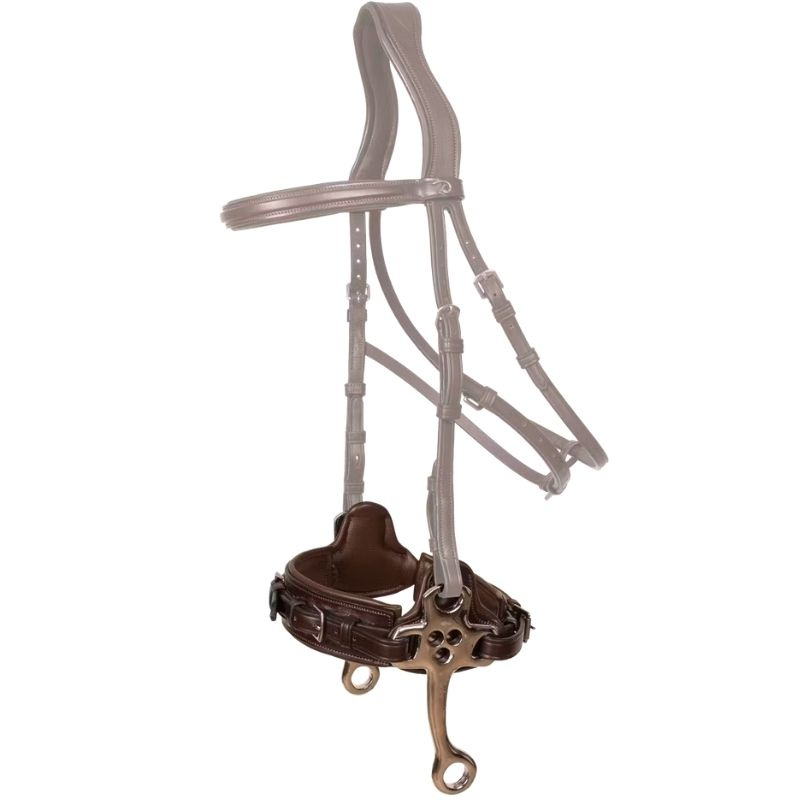 Hackamore New English Collection Brązowe