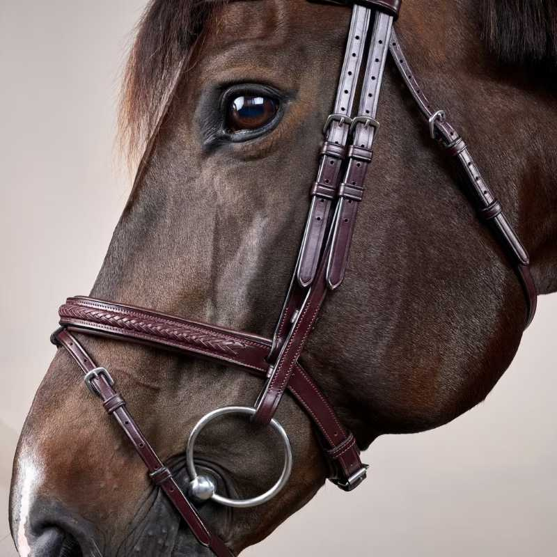 Ogłowie kombinowane Plaited New English Collection Brązowe