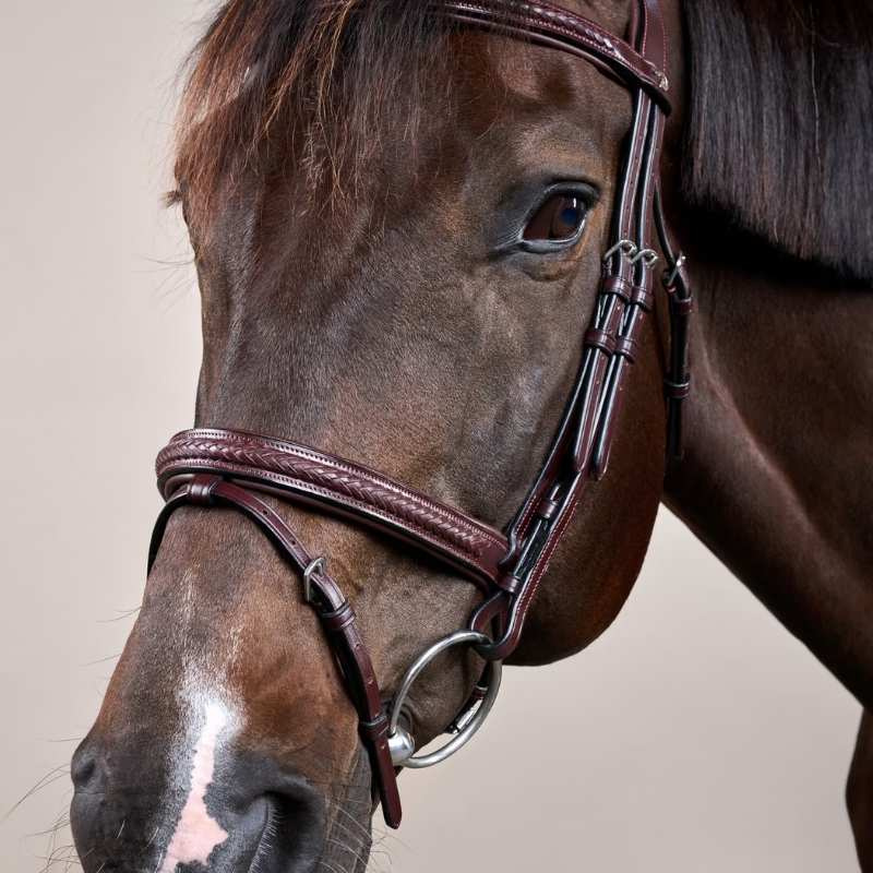Ogłowie kombinowane Plaited New English Collection Brązowe