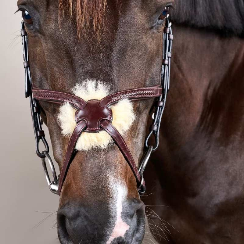 Ogłowie Meksykańskie Plaited New English Collection Brązowe