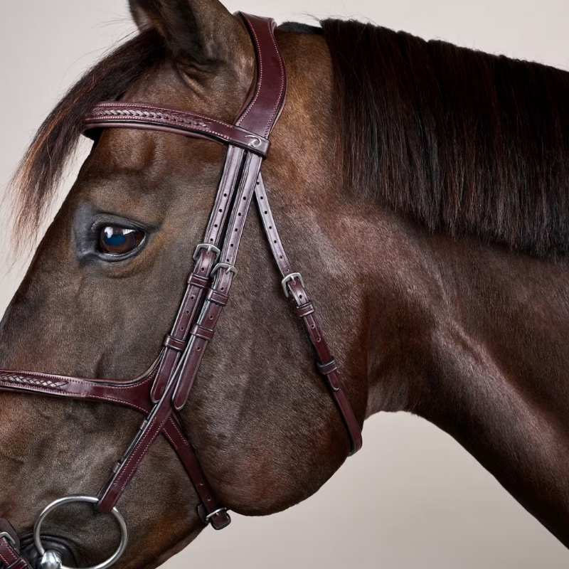 Ogłowie Meksykańskie Plaited New English Collection Brązowe