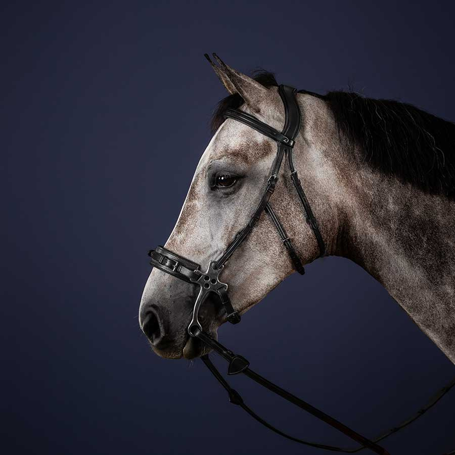 Ogłowie Hackamore NE Czarne